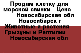 Продам клетку для морской свинки › Цена ­ 700 - Новосибирская обл., Новосибирск г. Животные и растения » Грызуны и Рептилии   . Новосибирская обл.